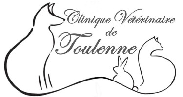 Clinique Vétérinaire de Toulenne